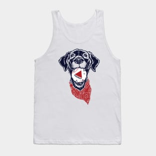 Fenway Baseball Dog Tank Top